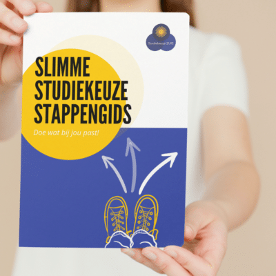 Afbeelding Stappengids Website